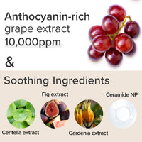 Low pH Hyaluronic Gel Cleanser 150ml