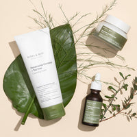 Houttuynia Cordata + Tea Tree Cleansing Foam 150ml
