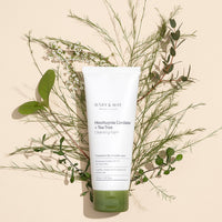 Houttuynia Cordata + Tea Tree Cleansing Foam 150ml